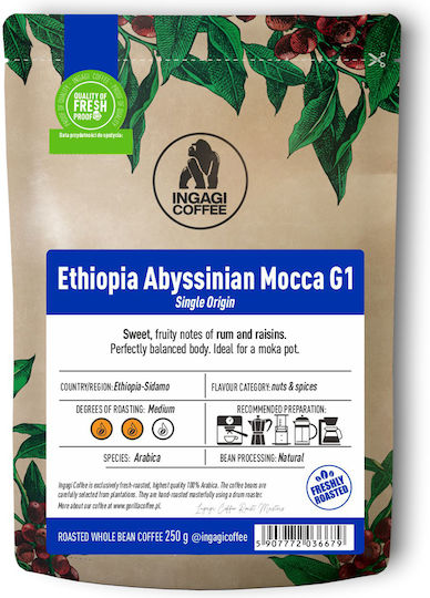 Coffee Espresso Ethiopia Abyssinian Mocca G1 250g Beans