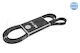 Curea Dinamo Polyv 6pk2225 Meyle Germany 0500062225-10761