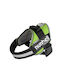 Ham Ajustabil Pentru Câini Nunbell Poliester Durabil Aliaj Respirabil 40–70 Kg 82–115 Cm XX-Large Verde
