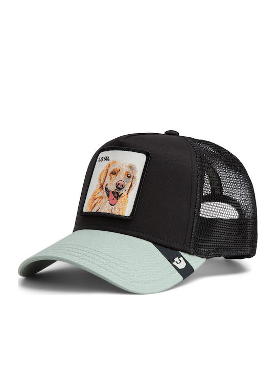 Jockey Loyal Dog Hund Schwarz-menta Goorin Bros
