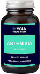 Ygia Artemisia 10:1 D R 500mg 60 κάψουλες Ygia Artemisia 10:1 D R 500mg 60 κάψουλες