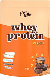 Protella Proteine Whey Aromă Fructe Tropicale 1kg Protella Proteine Whey Aromă Fructe Tropicale 1kg