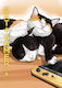 Cat Gamer Volume 6 U.s PB