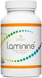 LifePharm Laminine Multivitamină pentru Întărirea Sistemului Imunitar, Piele și Acțiune Antioxidantă 120 Capsule LifePharm Laminine Multivitamină pentru Întărirea Sistemului Imunitar, Piele și Acțiune Antioxidantă 120 Capsule
