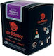 Tea Tea Odyssey Athina 10 Pieces