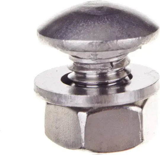 Mushroom Screw Set Type Sgn M8x14 E 652500 100pcs/100pcs