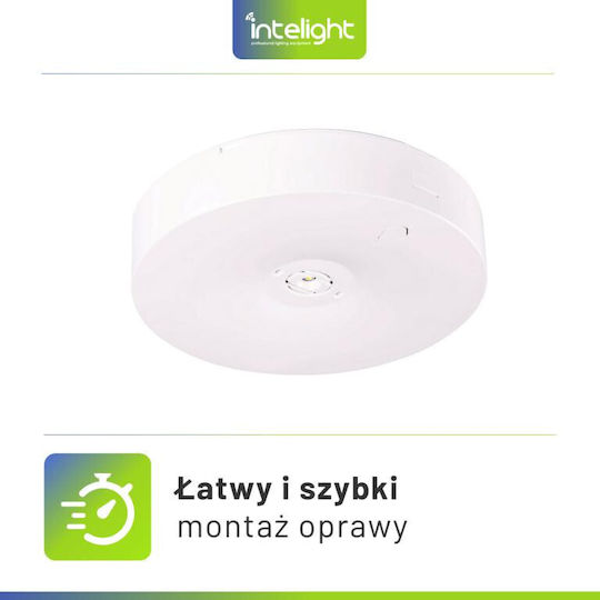 Intelight LED Σποτ Intelight LED Σποτ