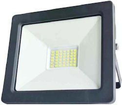 Germina Προβολέας 30W Στεγανός 4000K Germina Προβολέας 30W Στεγανός 4000K