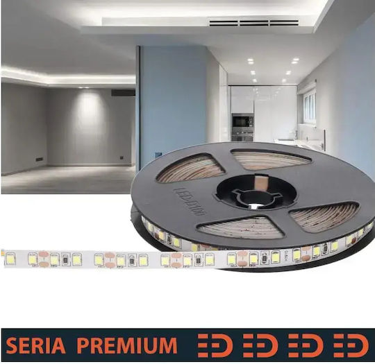Tape Premium 12v 120led 6000-7000k Smd2835 5