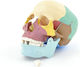Heine Scientific Manechin De Antrenament Medical Craniu/Cap