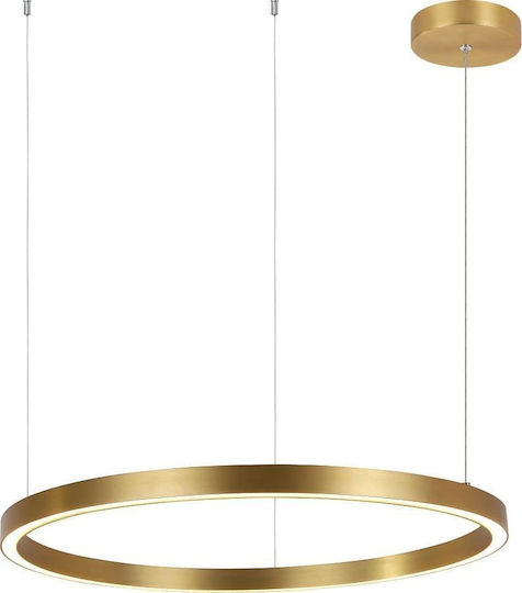 Light Prestige Ceiling Light