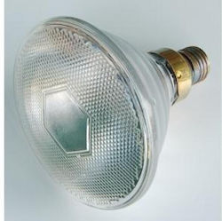 Transparente Infrarot-Heizgerät Par E27 175w 230v Hartgepresstes Glas 5000h Pro-2185