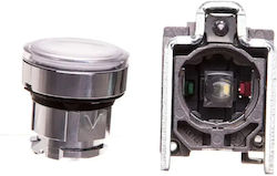 Control Button 22mm White Self-return Illumination 1z 1r Xb4bw31m5