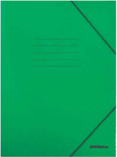 Prespan Folder with Elastic Ears Premium 25x35 cm Green
