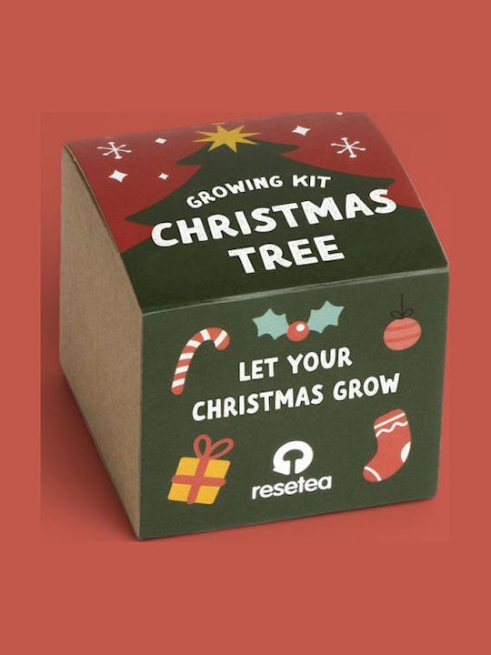 Κιτ Κηπουρικής Resetea My First Christmas Tree Χριστουγεννιάτικο Δέντρο