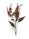 Gisela Graham Christmas Decorative Branch Length 55cm Burgundy