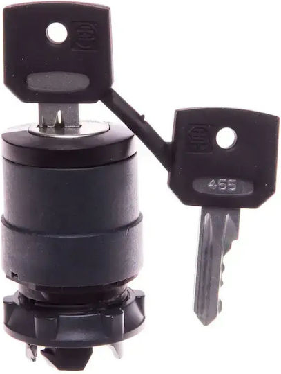 Schalterantrieb 2 Schalter Schlüssel 455 Ohne Selbstwendung Rechts Zb5ag02