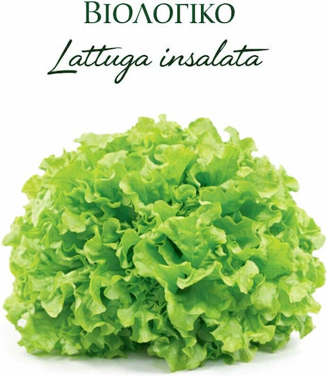 Hortus Sementi Semințe Salată Verde Iceberg Organic 3.5gr HOERBIO008