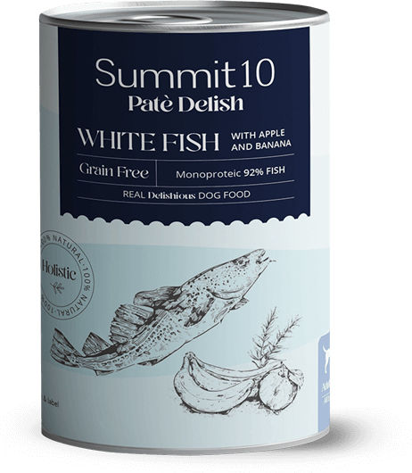 Summit10 Υγρή Τροφή Σκύλων με Ψάρι και Κρέας 400gr