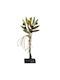 G. Niarxou Handgemachte Keramik Olive Basis 13x28