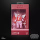 Hasbro Star Wars Star Wars Black Series Ewok Ed...