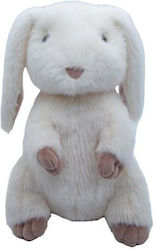 Cute & Cuddly Зайче