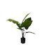 Изкуствено Растение Alocasia 90см A31144