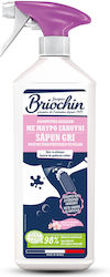 Briochin Stain Remover σε Spray Κατάλληλο για Υφάσματα 700ml