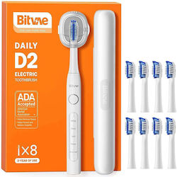 Bitvae Daily D2 Bitvae Daily D2