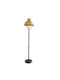 DITS Lighting Lampadar de Podea Bronz