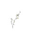Katoikonhome Decorative Cherry Flower 70 Cm White