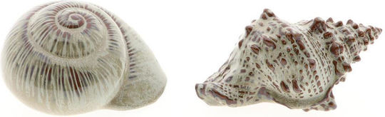 Морска Раковина Кафява 2 Модела 18x11,5x19,5см