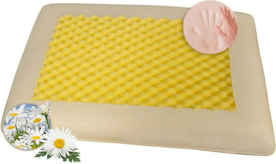 Amve Memory Visco Sleep Pillow Memory Foam 40x60cm