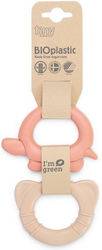 Dantoy Teethers & Teething Relief