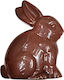 Λαγός Πλαστικός Θήκη Γλυκισμάτων 15x11x4,5cm Bunny's 932221