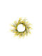 Yellow Mimosa Crown 50x10cm