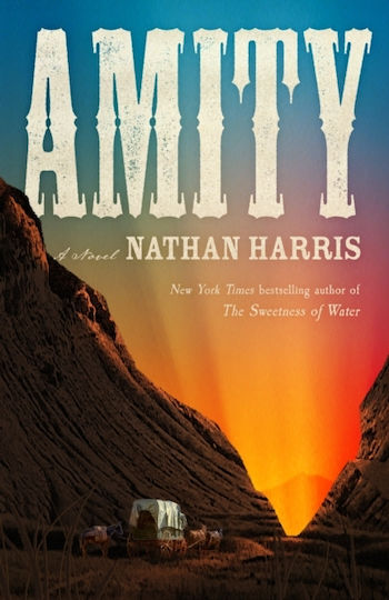 Amity - Headline Publishing Group - Hardback