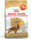 Royal Canin Dry Food for Adult Cats 12kg