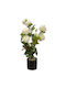 Γλαστράκι Λουλούδι White 64cm