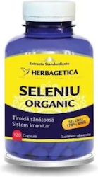 Herbagetica Seleniu Organic 351mg 120 Capsule Herbagetica Seleniu Organic 351mg 120 Capsule