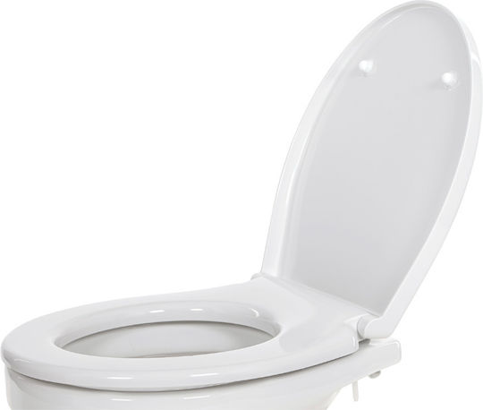 Seat Lid Soft Close Only Toilets Standard Size Bowl 2018