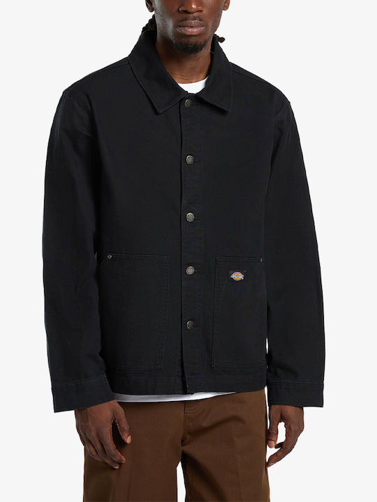 Dickies Dickies