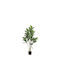 Ficus Ficus in Potted Plant 120cm Atmosphera
