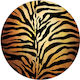 Animal Print Tiger