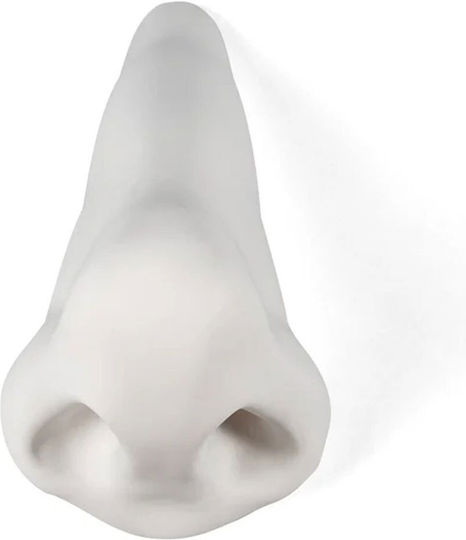 Tabletop Decor Memorabilia Mvsevm Nose 10077 34x14x20cm White Porcelain