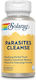 Parasites Cleanse Solaray 60 Comprimate