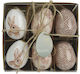 Set 6 Buc Ouă Decorative D5χη7 5cm