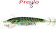 Pregio Squid Jig