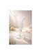 keleman Decorative Glass Vase Transparent Y11cm