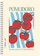 Next Ruled Notebooks A4 105 Paper Sheets 3 Subj...